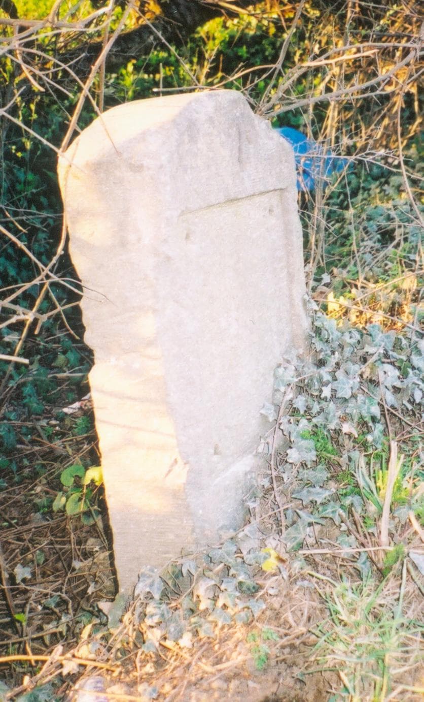 Ardley Wood Quarry