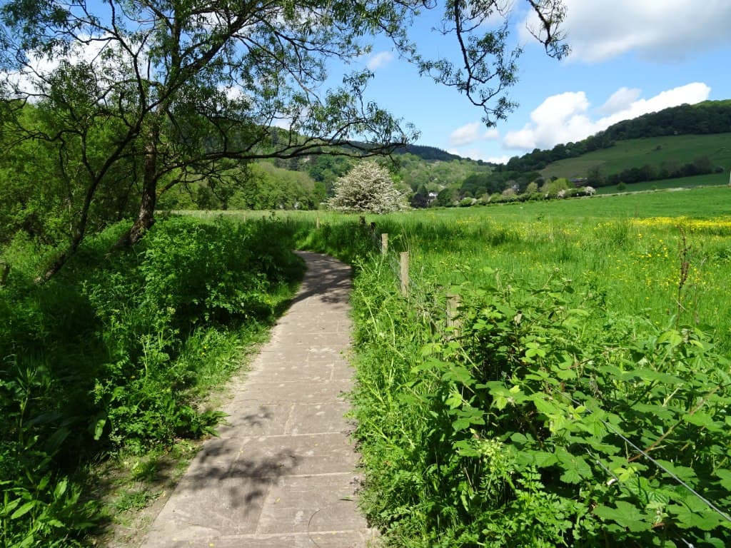 Wye Valley